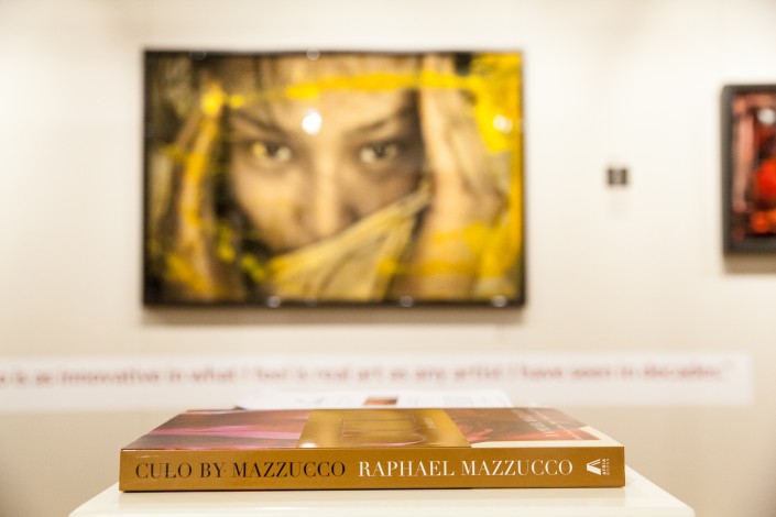 IMG 9342 705x470 Corporate photography; Castle Galleries exclusive preview of Raphael Mazzucco exhibition